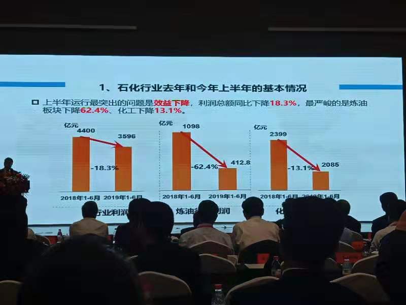 专家做上游石化行业报告